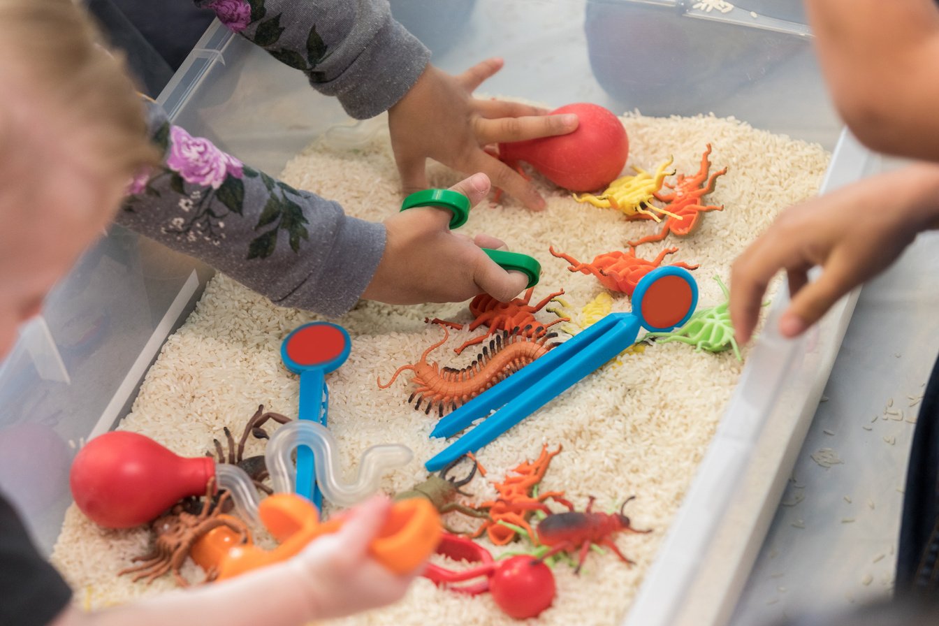 Unrecognizable children play in sensory bin